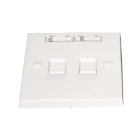 CommScope 2225212-1 Dual Port Faceplate