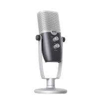 AKG Ara C22 Professional Two-Pattern USB Condenser Microphone