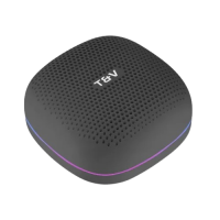 Thonet & Vander Duett Portable Bluetooth Speaker