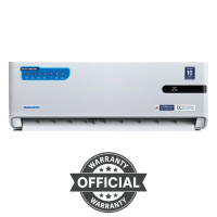 Daewoo 1 Ton Inverter AC