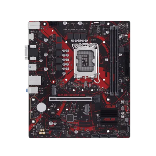 Main Image