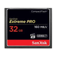 SanDisk Extreme Pro 32GB Compact Flash Memory Card (SDCFXPS-032G-X46)