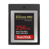 SanDisk Extreme Pro CFexpress 256GB 1700 MB/s Compact Flash Type-B Memory Card (SDCFE-256G-GN4NN)