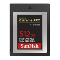 SanDisk Extreme Pro CFexpress 512GB 1700 MB/s Compact Flash Type-B Memory Card(SDCFE-512G-GN4NN)