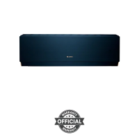 Gree 1 Ton Clivia-Split Hot & Cool Inverter AC