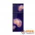 Haier HRF-395PBG 375L Refrigerator