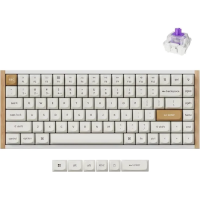 Keychron K2 HE Tri Mode Mechanical Keyboard