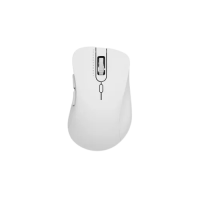 ThundeRobot ML101 Wireless Office Mouse
