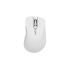 ThundeRobot ML101 Wireless Office Mouse