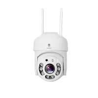 Newland NL-C604 3MP Outdoor Dome IP Camera