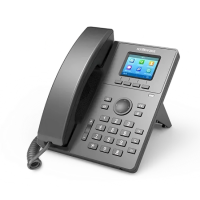 Flyingvoice P11P 2 SIP PoE IP Phone