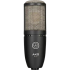 AKG P220 High-Performance Large Diaphragm True Condenser Microphone