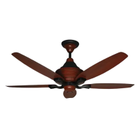 Pakhtun Penta 5 56" BLDC Inverter Decorative Ceiling Fan With Remote Control