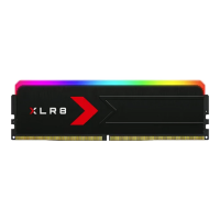 PNY XLR8 Gaming RGB 16GB DDR5 6000MHz CL36 Desktop RAM