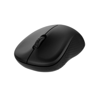 Rapoo M160 Multi-mode Wireless Mouse