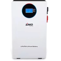 SAKO LI-SUN-51.2V 300Ah LiFePo4 Lithium-Iron Battery