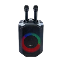 Havit SQ143BT Outdoor Portable Wireless Speaker With Dual Microphone