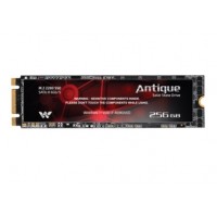 Walton ANTIQUE 256GB SATA III M.2 2280 SSD