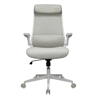 Cougar Stryder Gaming Chair White