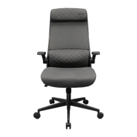 Cougar Stryder Gaming Chair Grey