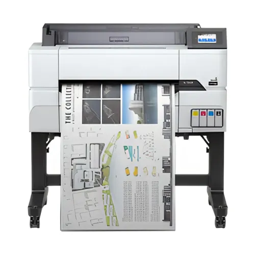 Main Image