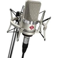 Neumann TLM 102 Large-Diaphragm Cardioid Condenser Studio Microphone