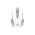 Fantech WG10 Raigor II Wirless Gaming Mouse Black